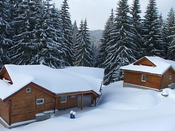 Vilele Izvorul Minunilor 4 Stana De Vale Romania Oferta Cazare