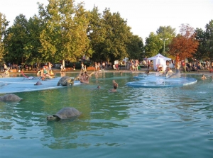 harta Hajduszoboszlo